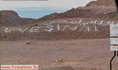 Love Sinai      -  15511