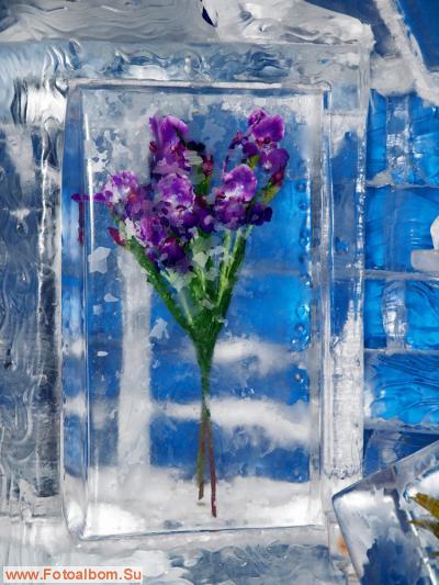Цветы во льду 